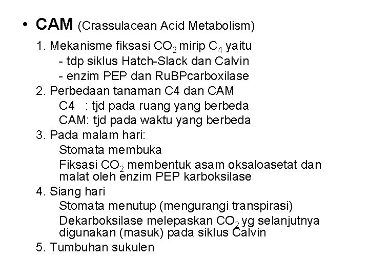  • CAM (Crassulacean Acid Metabolism) 1. Mekanisme fiksasi CO 2 mirip C 4