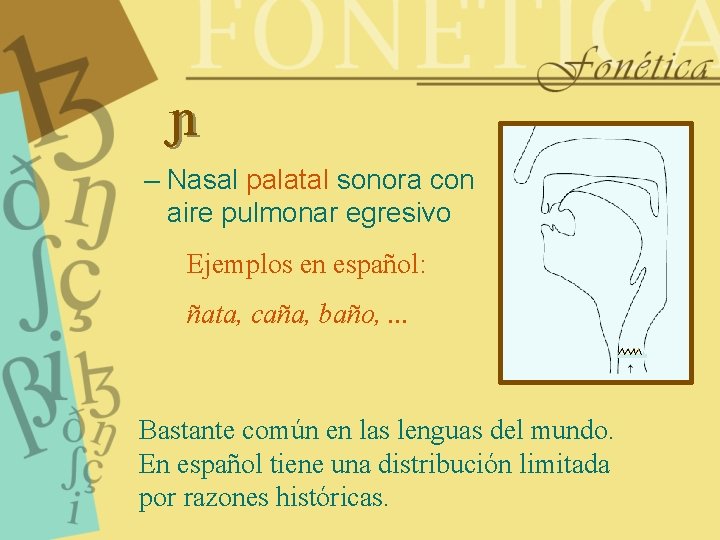  – Nasal palatal sonora con aire pulmonar egresivo Ejemplos en español: ñata, caña,