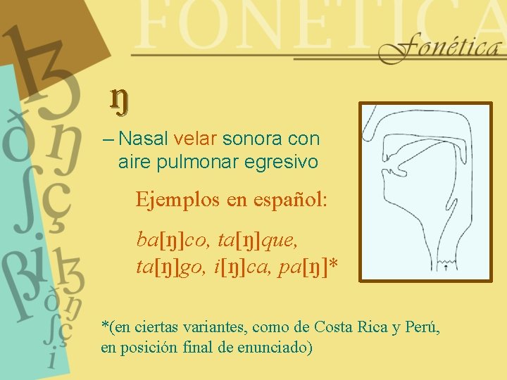 N – Nasal velar sonora con aire pulmonar egresivo Ejemplos en español: ba[N]co, ta[N]que,