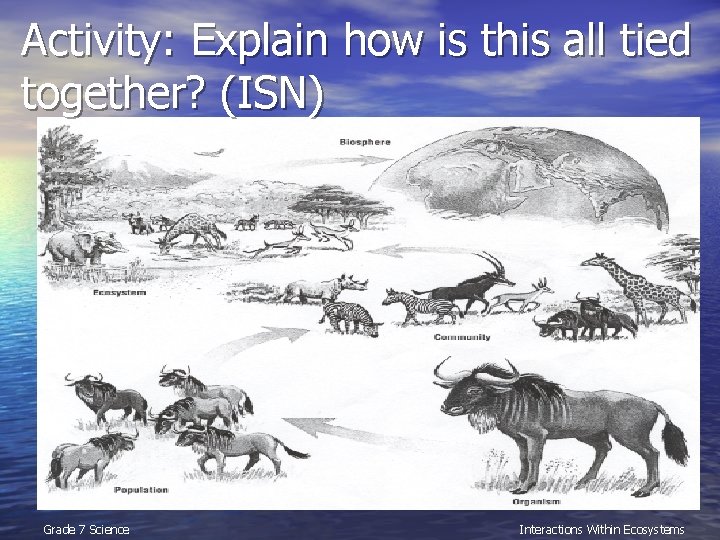 Activity: Explain how is this all tied together? (ISN) Grade 7 Science Interactions Within