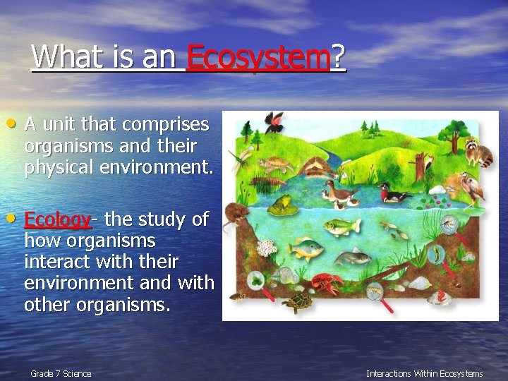 What is an Ecosystem? • A unit that comprises organisms and their physical environment.