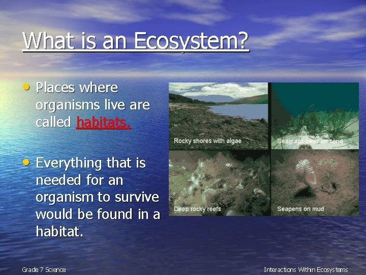 What is an Ecosystem? • Places where organisms live are called habitats. • Everything