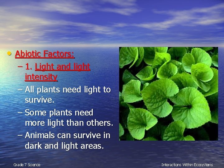  • Abiotic Factors: – 1. Light and light intensity – All plants need
