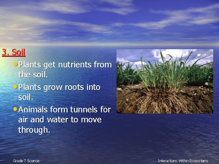 3. Soil • Plants get nutrients from the soil. • Plants grow roots into