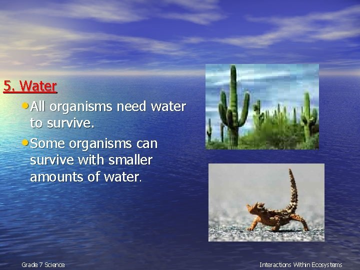 5. Water • All organisms need water to survive. • Some organisms can survive
