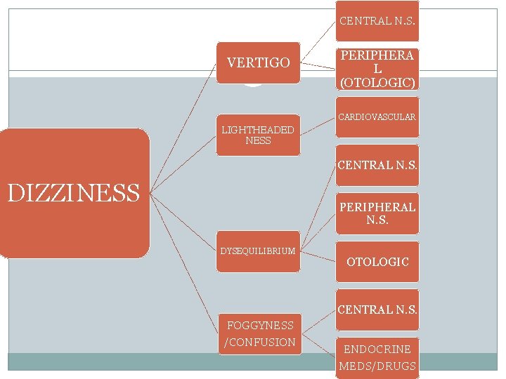 CENTRAL N. S. VERTIGO PERIPHERA L (OTOLOGIC) CARDIOVASCULAR LIGHTHEADED NESS CENTRAL N. S. DIZZINESS CENTRAL N. S. VERTIGO PERIPHERA L (OTOLOGIC) CARDIOVASCULAR LIGHTHEADED NESS CENTRAL N. S. DIZZINESS