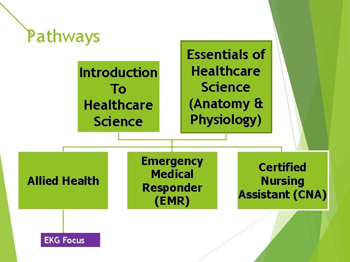 Pathways Introduction To Healthcare Science Allied Health EKG Focus Essentials of To Healthcare Science