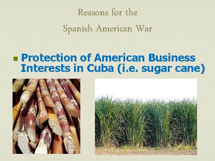Reasons for the Spanish American War n Protection of American Business Interests in Cuba