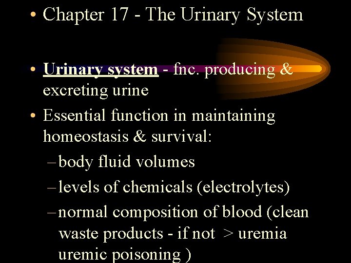  • Chapter 17 - The Urinary System • Urinary system - fnc. producing