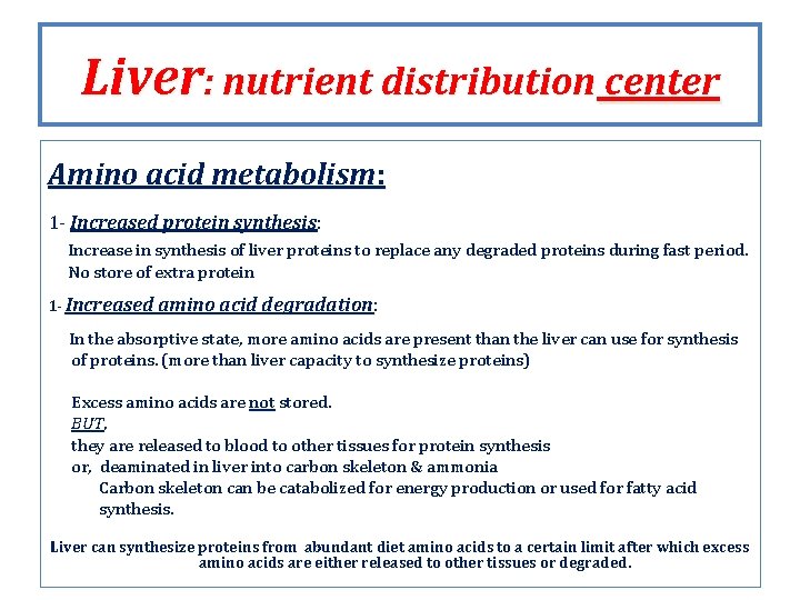 Liver: nutrient distribution center Amino acid metabolism: 1 - Increased protein synthesis: Increase in Liver: nutrient distribution center Amino acid metabolism: 1 - Increased protein synthesis: Increase in