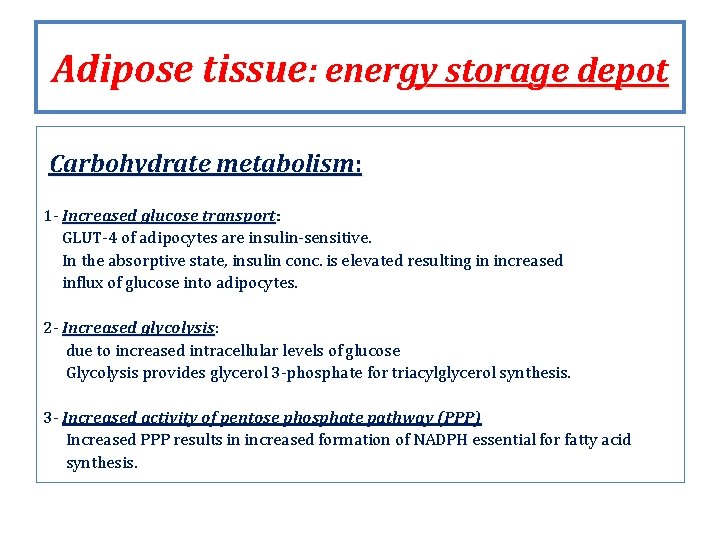 Adipose tissue: energy storage depot Carbohydrate metabolism: 1 - Increased glucose transport: transport GLUT-4 Adipose tissue: energy storage depot Carbohydrate metabolism: 1 - Increased glucose transport: transport GLUT-4