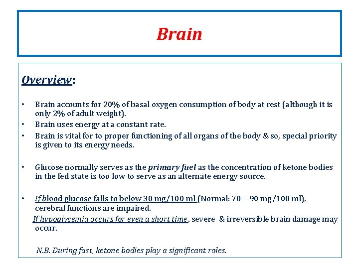 Brain Overview: • • • Brain accounts for 20% of basal oxygen consumption of Brain Overview: • • • Brain accounts for 20% of basal oxygen consumption of