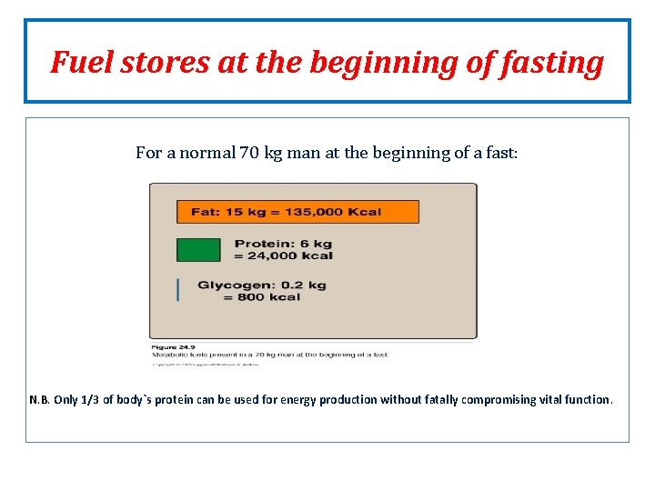 Fuel stores at the beginning of fasting For a normal 70 kg man at Fuel stores at the beginning of fasting For a normal 70 kg man at