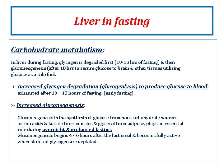 Liver in fasting Carbohydrate metabolism: In liver during fasting, glycogen is degraded first (10 Liver in fasting Carbohydrate metabolism: In liver during fasting, glycogen is degraded first (10