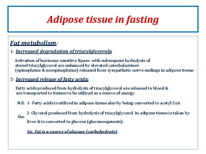 Adipose tissue in fasting Fat metabolism: 1 - Increased degradation of triacylglycerols: Activation of Adipose tissue in fasting Fat metabolism: 1 - Increased degradation of triacylglycerols: Activation of