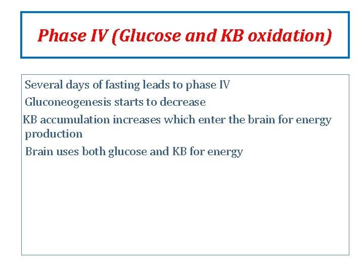 Phase IV (Glucose and KB oxidation) Several days of fasting leads to phase IV Phase IV (Glucose and KB oxidation) Several days of fasting leads to phase IV