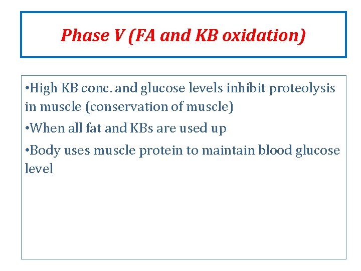 Phase V (FA and KB oxidation) • High KB conc. and glucose levels inhibit Phase V (FA and KB oxidation) • High KB conc. and glucose levels inhibit