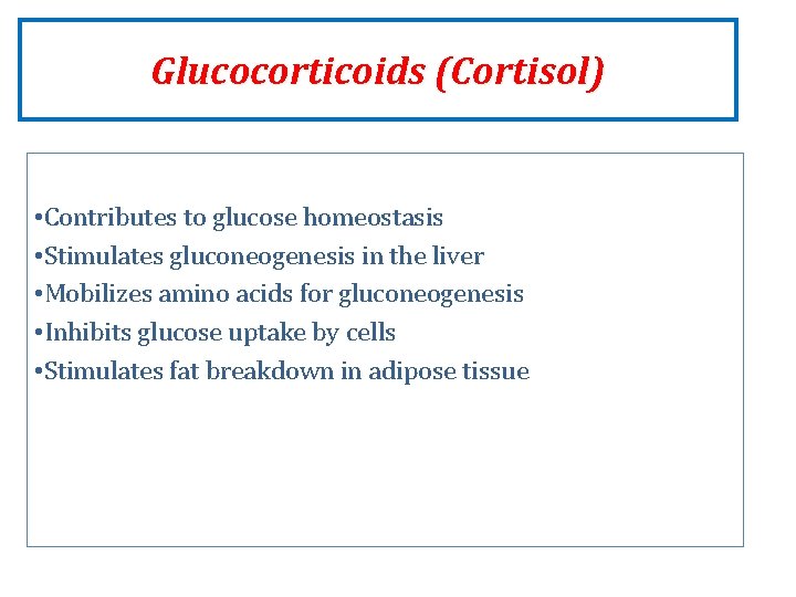 Glucocorticoids (Cortisol) • Contributes to glucose homeostasis • Stimulates gluconeogenesis in the liver • Glucocorticoids (Cortisol) • Contributes to glucose homeostasis • Stimulates gluconeogenesis in the liver •