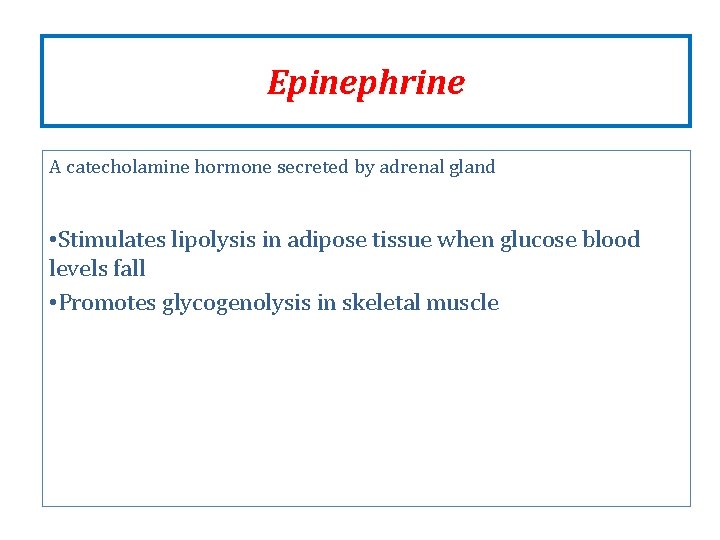 Epinephrine A catecholamine hormone secreted by adrenal gland • Stimulates lipolysis in adipose tissue Epinephrine A catecholamine hormone secreted by adrenal gland • Stimulates lipolysis in adipose tissue