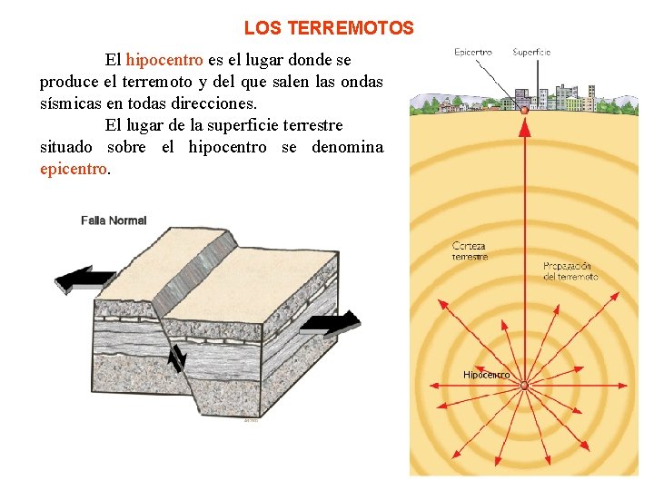LOS TERREMOTOS El hipocentro es el lugar donde se produce el terremoto y del