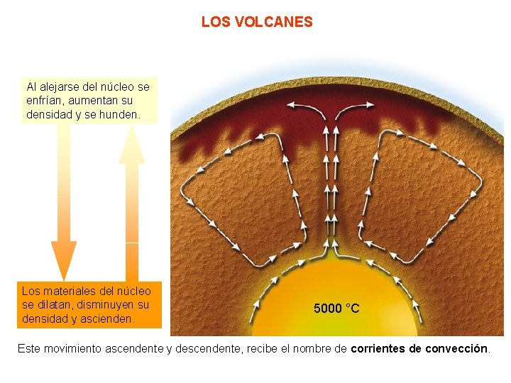 LOS VOLCANES Al alejarse del núcleo se enfrían, aumentan su densidad y se hunden.