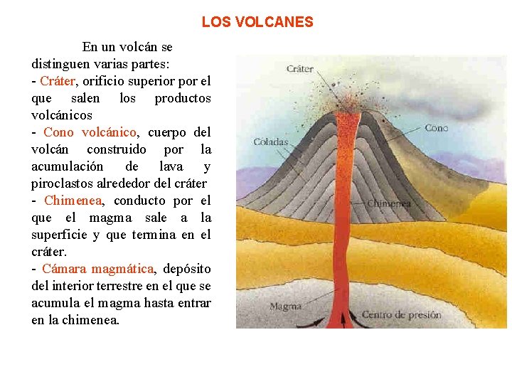 LOS VOLCANES En un volcán se distinguen varias partes: - Cráter, orificio superior por