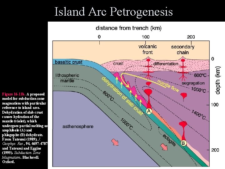 Island Arc Petrogenesis Figure 16 -11 b. A proposed model for subduction zone magmatism Island Arc Petrogenesis Figure 16 -11 b. A proposed model for subduction zone magmatism