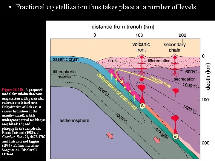  • Fractional crystallization thus takes place at a number of levels Figure 16