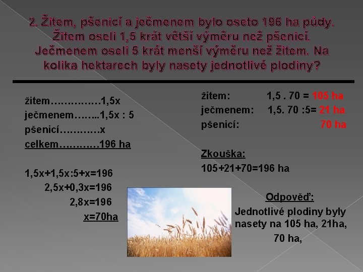 2. Žitem, pšenicí a ječmenem bylo oseto 196 ha půdy. Žitem oseli 1, 5