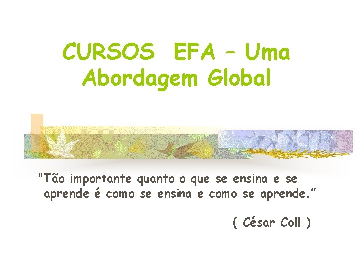 CURSOS EFA – Uma Abordagem Global "Tão importante quanto o que se ensina e