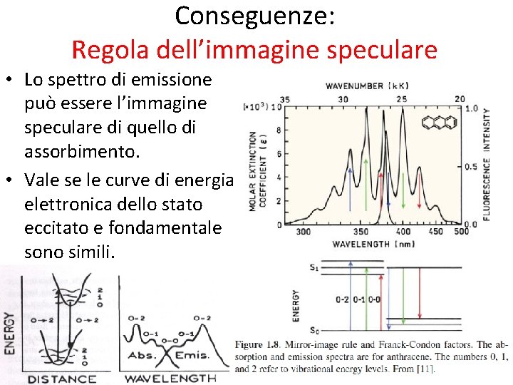 Conseguenze: Regola dell’immagine speculare • Lo spettro di emissione può essere l’immagine speculare di