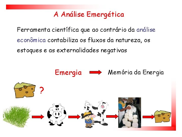 A Análise Emergética Ferramenta científica que ao contrário da análise econômica contabiliza os fluxos