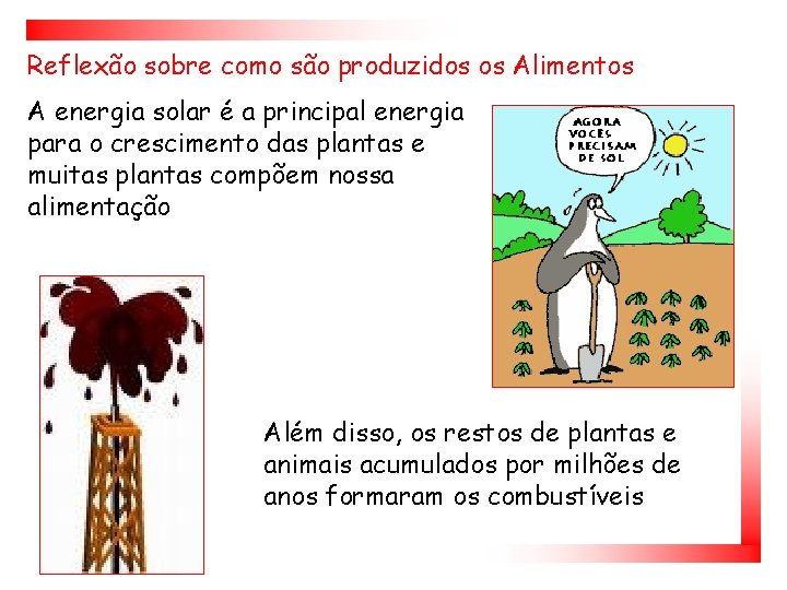 Reflexão sobre como são produzidos os Alimentos A energia solar é a principal energia