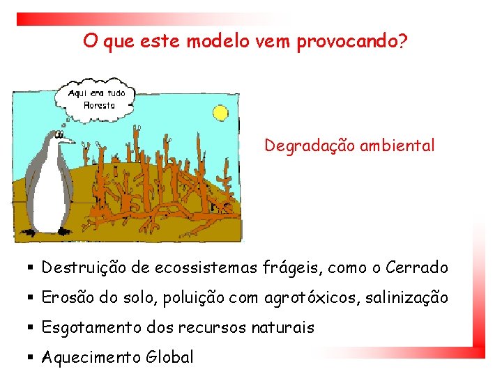 O que este modelo vem provocando? Degradação ambiental § Destruição de ecossistemas frágeis, como