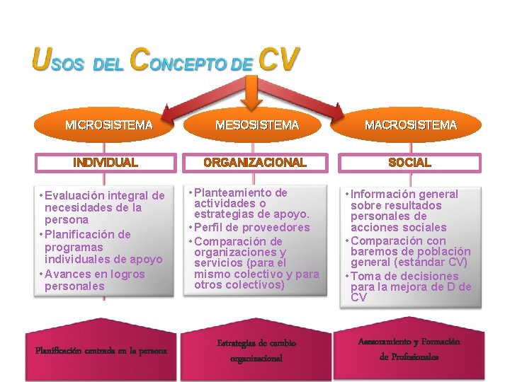 MICROSISTEMA MESOSISTEMA MACROSISTEMA INDIVIDUAL ORGANIZACIONAL SOCIAL • Evaluación integral de necesidades de la persona