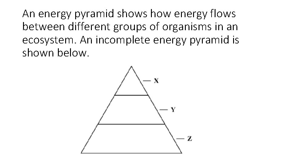 An energy pyramid shows how energy flows between different groups of organisms in an