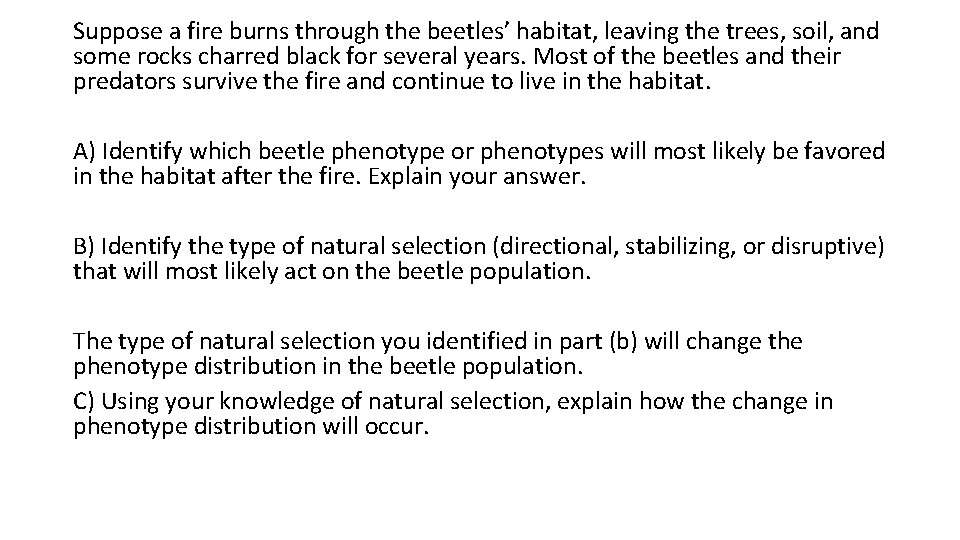 Suppose a fire burns through the beetles’ habitat, leaving the trees, soil, and some