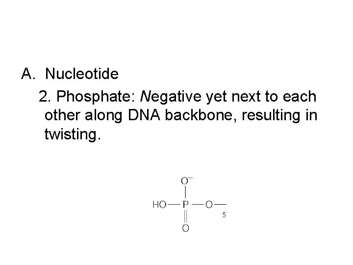 A. Nucleotide 2. Phosphate: Negative yet next to each other along DNA backbone, resulting A. Nucleotide 2. Phosphate: Negative yet next to each other along DNA backbone, resulting