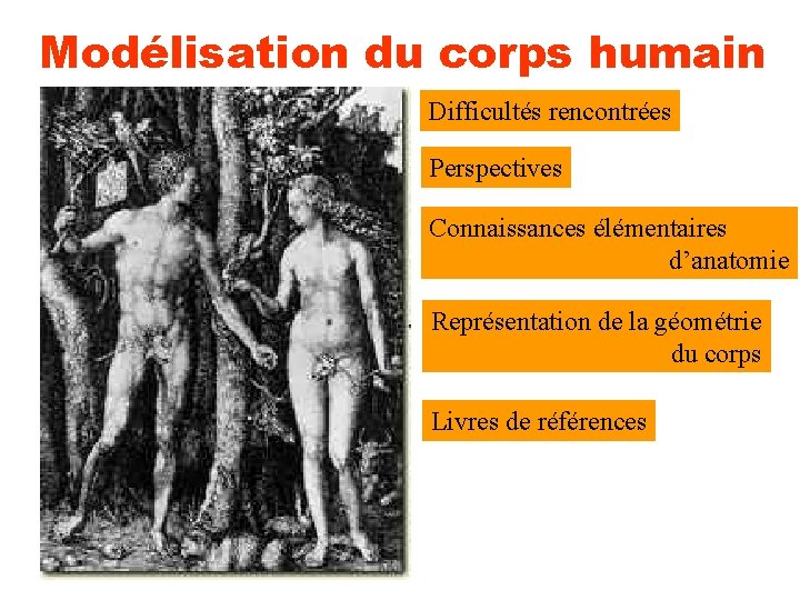 Modélisation du corps humain Difficultés rencontrées Perspectives Connaissances élémentaires d’anatomie Représentation de la géométrie