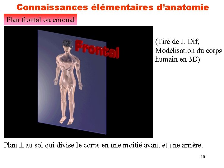 Connaissances élémentaires d’anatomie Plan frontal ou coronal (Tiré de J. Dif, Modélisation du corps