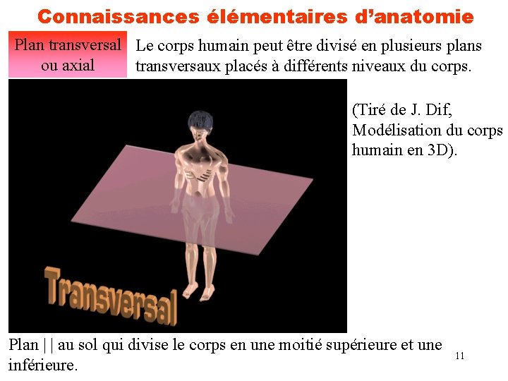 Connaissances élémentaires d’anatomie Plan transversal Le corps humain peut être divisé en plusieurs plans