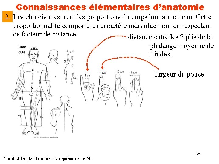 Connaissances élémentaires d’anatomie 2. Les chinois mesurent les proportions du corps humain en cun.