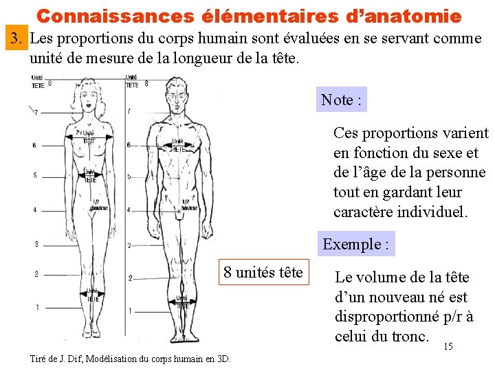 Connaissances élémentaires d’anatomie 3. Les proportions du corps humain sont évaluées en se servant