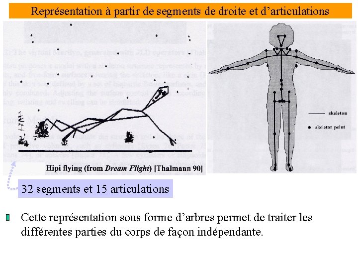 Représentation à partir de segments de droite et d’articulations 32 segments et 15 articulations