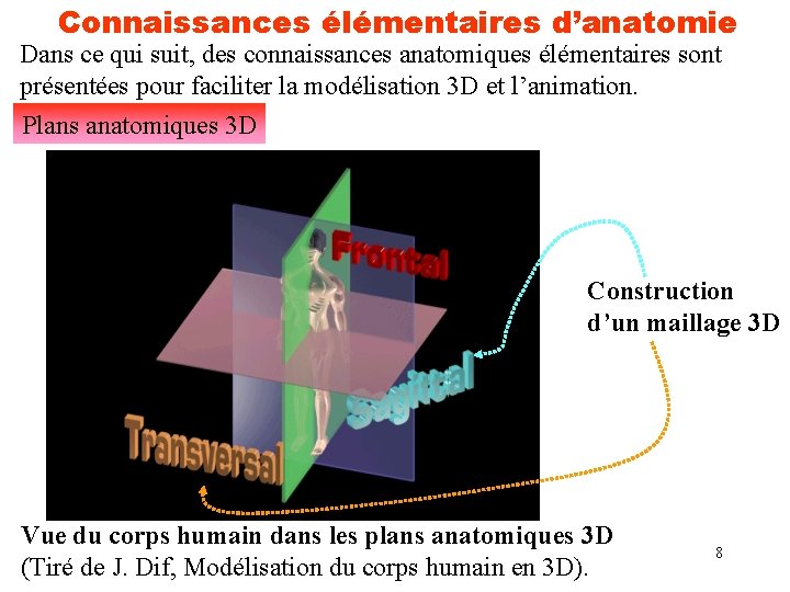 Connaissances élémentaires d’anatomie Dans ce qui suit, des connaissances anatomiques élémentaires sont présentées pour