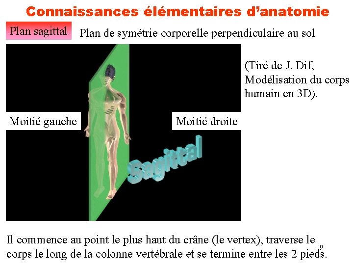 Connaissances élémentaires d’anatomie Plan sagittal Plan de symétrie corporelle perpendiculaire au sol (Tiré de