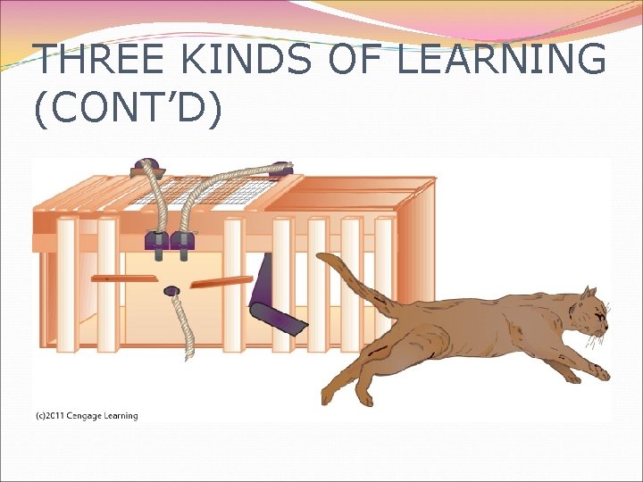 THREE KINDS OF LEARNING (CONT’D) 