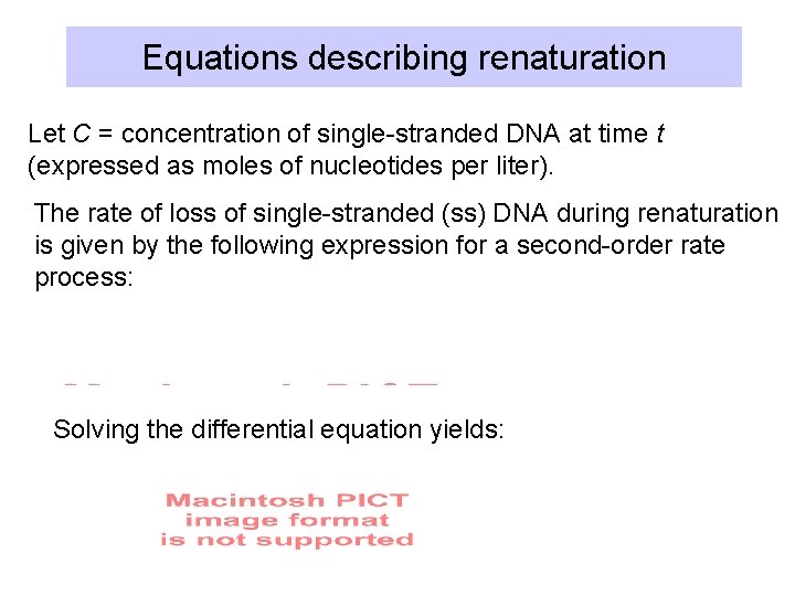 Equations describing renaturation Let C = concentration of single-stranded DNA at time t (expressed