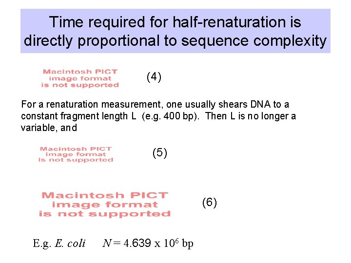 Time required for half-renaturation is directly proportional to sequence complexity (4) For a renaturation