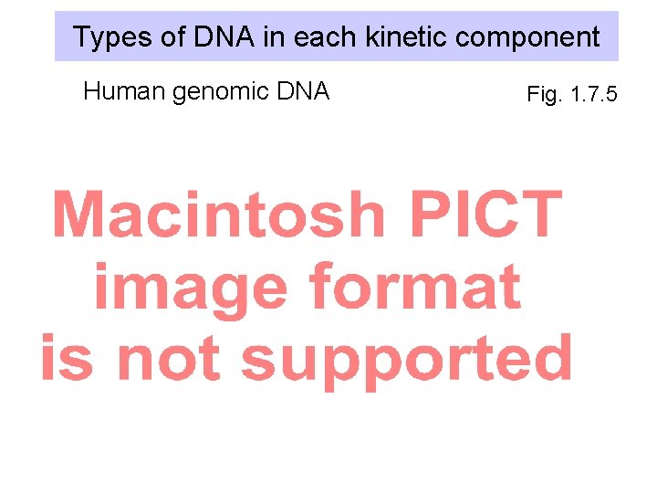 Types of DNA in each kinetic component Human genomic DNA Fig. 1. 7. 5
